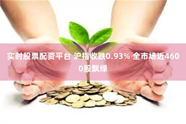 实时股票配资平台 沪指收跌0.93% 全市场近4600股飘绿