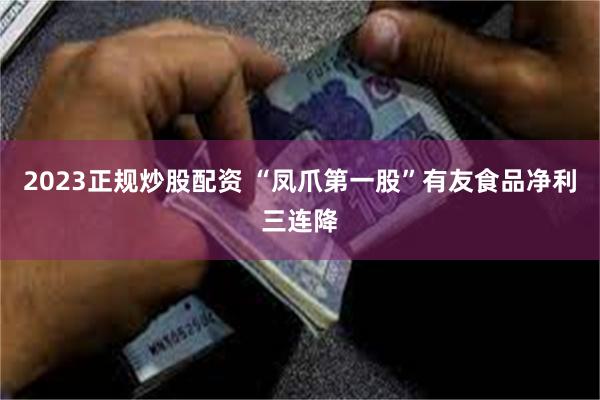 2023正规炒股配资 “凤爪第一股”有友食品净利三连降