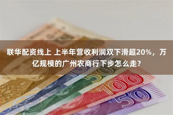 联华配资线上 上半年营收利润双下滑超20%，万亿规模的广州农商行下步怎么走？