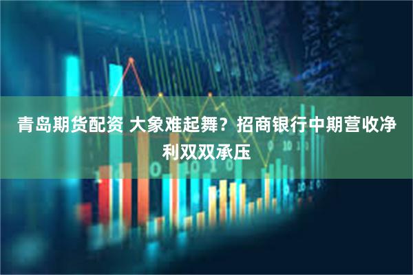 青岛期货配资 大象难起舞？招商银行中期营收净利双双承压