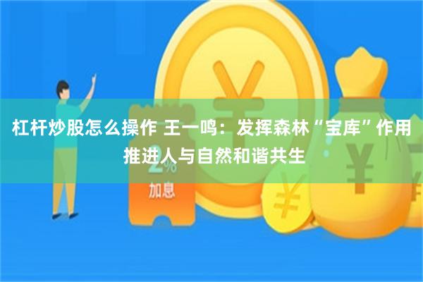 杠杆炒股怎么操作 王一鸣：发挥森林“宝库”作用 推进人与自然和谐共生
