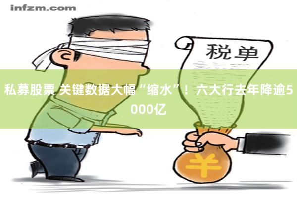 私募股票 关键数据大幅“缩水”！六大行去年降逾5000亿