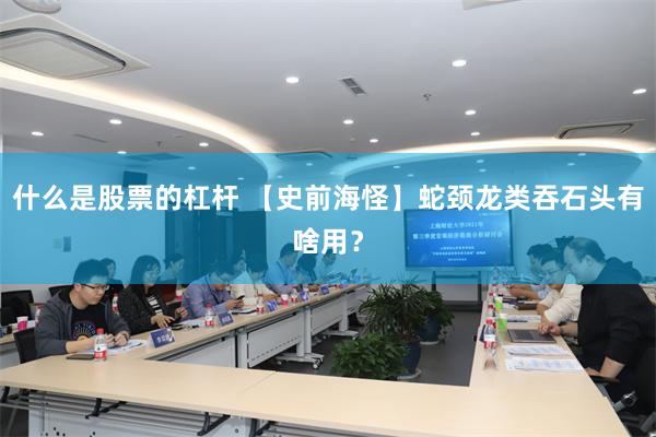 什么是股票的杠杆 【史前海怪】蛇颈龙类吞石头有啥用？