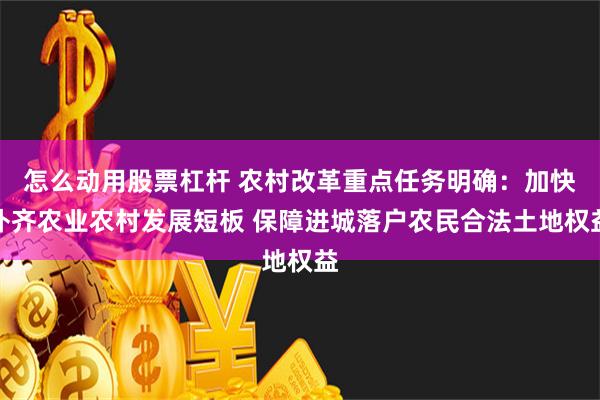 怎么动用股票杠杆 农村改革重点任务明确：加快补齐农业农村发展短板 保障进城落户农民合法土地权益