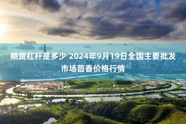 期货杠杆是多少 2024年9月19日全国主要批发市场茴香价格行情