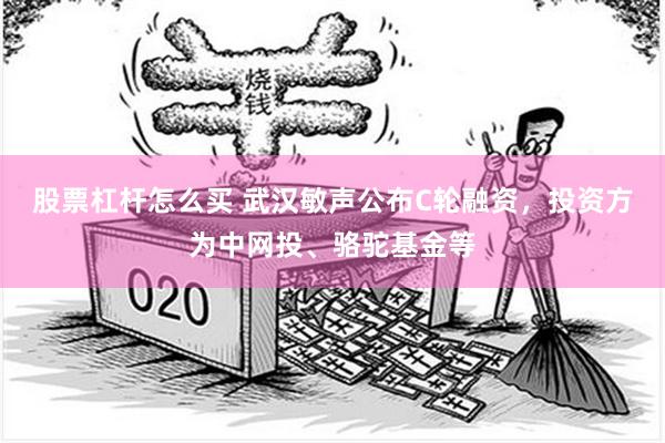 股票杠杆怎么买 武汉敏声公布C轮融资，投资方为中网投、骆驼基金等