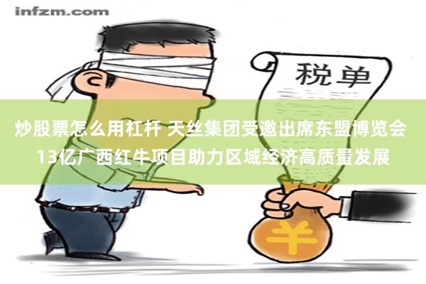 炒股票怎么用杠杆 天丝集团受邀出席东盟博览会 13亿广西红牛项目助力区域经济高质量发展