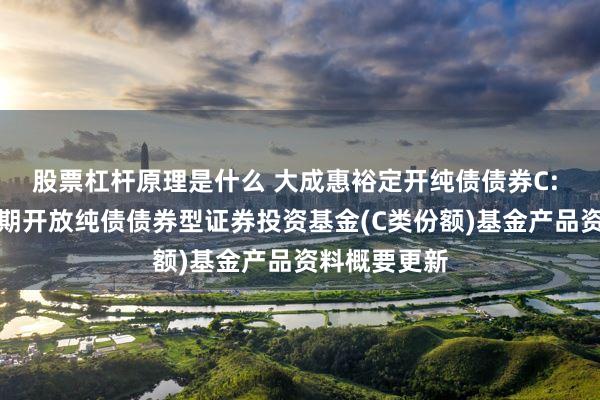 股票杠杆原理是什么 大成惠裕定开纯债债券C: 大成惠裕定期开放纯债债券型证券投资基金(C类份额)基金产品资料概要更新