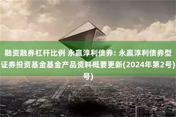 融资融券杠杆比例 永赢淳利债券: 永赢淳利债券型证券投资基金基金产品资料概要更新(2024年第2号)