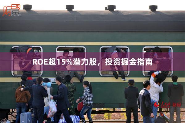 ROE超15%潜力股，投资掘金指南