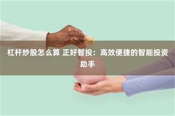杠杆炒股怎么算 正好智投：高效便捷的智能投资助手