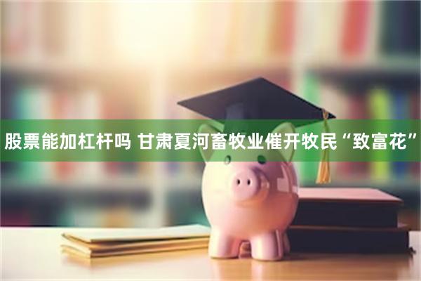 股票能加杠杆吗 甘肃夏河畜牧业催开牧民“致富花”
