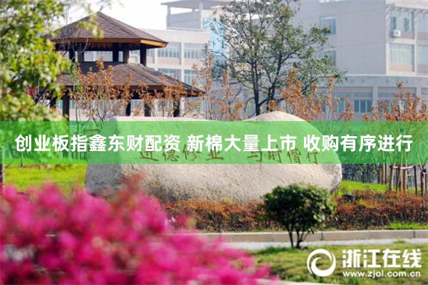 创业板指鑫东财配资 新棉大量上市 收购有序进行