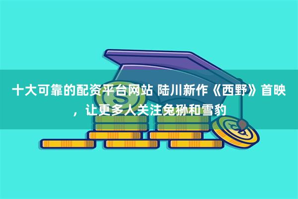 十大可靠的配资平台网站 陆川新作《西野》首映，让更多人关注兔狲和雪豹