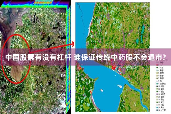 中国股票有没有杠杆 谁保证传统中药股不会退市?