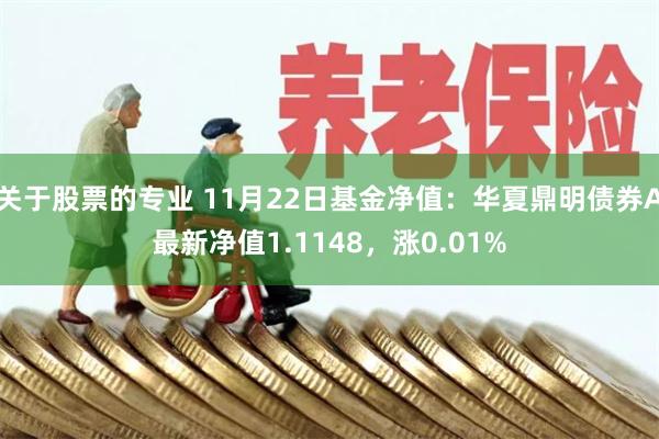 关于股票的专业 11月22日基金净值：华夏鼎明债券A最新净值1.1148，涨0.01%