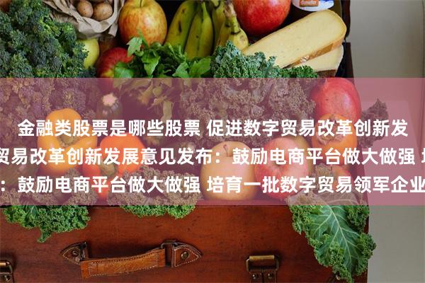 金融类股票是哪些股票 促进数字贸易改革创新发展意见发布 促进数字贸易改革创新发展意见发布：鼓励电商平台做大做强 培育一批数字贸易领军企业