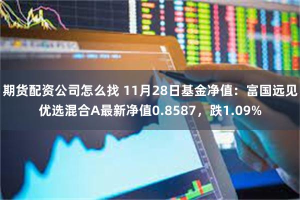 期货配资公司怎么找 11月28日基金净值：富国远见优选混合A最新净值0.8587，跌1.09%
