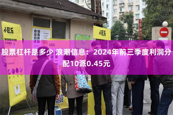 股票杠杆是多少 浪潮信息：2024年前三季度利润分配10派0.45元