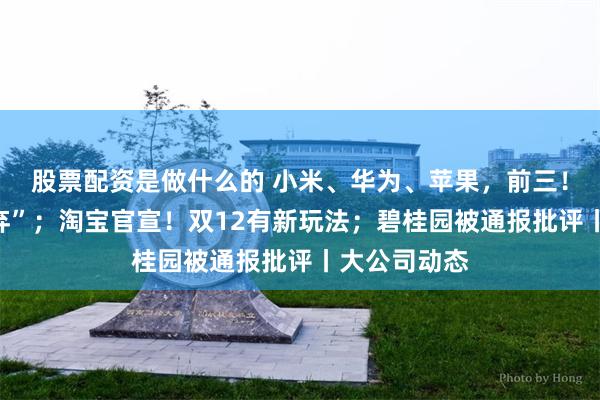 股票配资是做什么的 小米、华为、苹果，前三！奥迪被“抛弃”；淘宝官宣！双12有新玩法；碧桂园被通报批评丨大公司动态