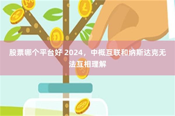 股票哪个平台好 2024，中概互联和纳斯达克无法互相理解