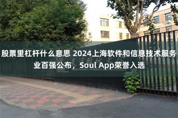 股票里杠杆什么意思 2024上海软件和信息技术服务业百强公布，Soul App荣誉入选
