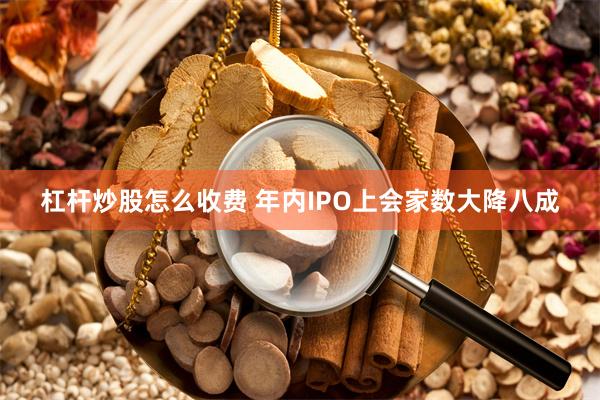 杠杆炒股怎么收费 年内IPO上会家数大降八成