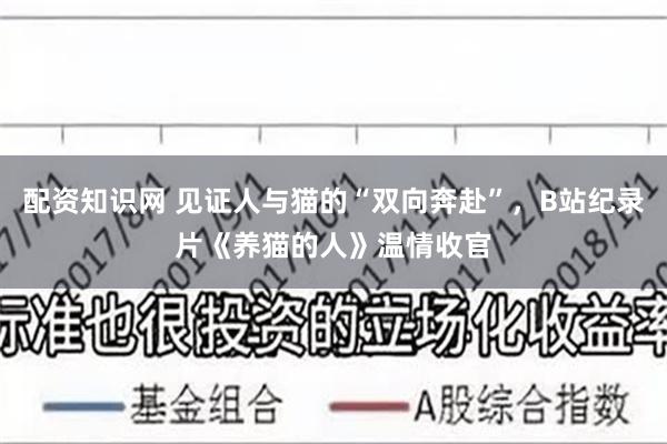 配资知识网 见证人与猫的“双向奔赴”，B站纪录片《养猫的人》温情收官