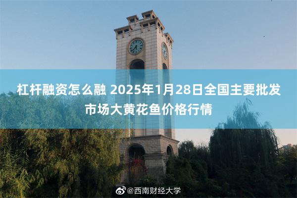 杠杆融资怎么融 2025年1月28日全国主要批发市场大黄花鱼价格行情