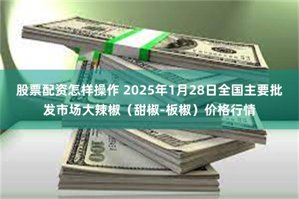 股票配资怎样操作 2025年1月28日全国主要批发市场大辣椒（甜椒-板椒）价格行情