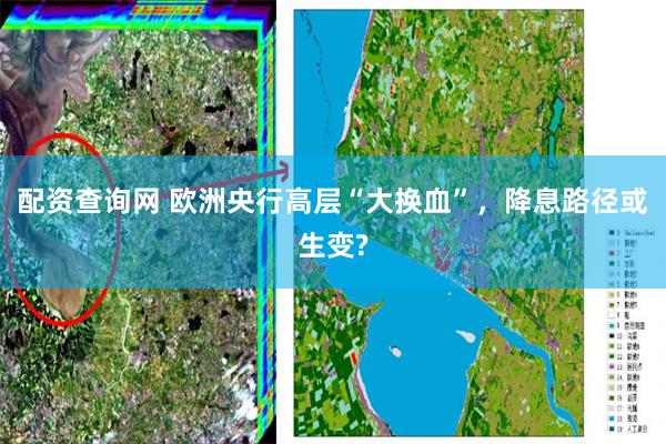 配资查询网 欧洲央行高层“大换血”，降息路径或生变?