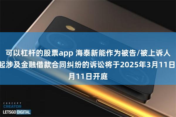 可以杠杆的股票app 海泰新能作为被告/被上诉人的1起涉及金融借款合同纠纷的诉讼将于2025年3月11日开庭