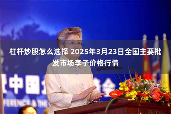 杠杆炒股怎么选择 2025年3月23日全国主要批发市场李子价格行情