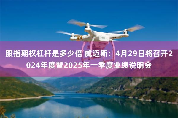 股指期权杠杆是多少倍 威迈斯：4月29日将召开2024年度暨2025年一季度业绩说明会