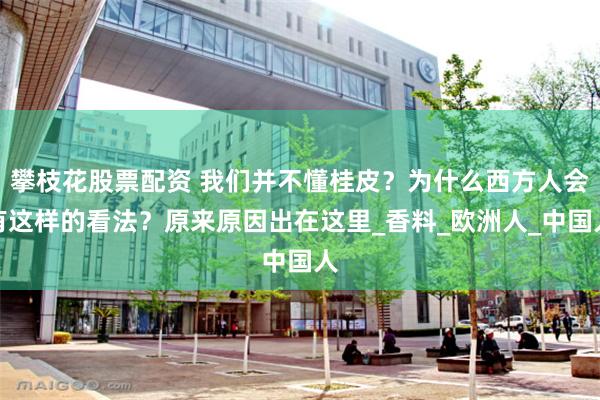 攀枝花股票配资 我们并不懂桂皮？为什么西方人会有这样的看法？原来原因出在这里_香料_欧洲人_中国人