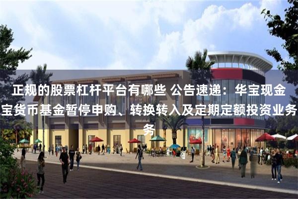 正规的股票杠杆平台有哪些 公告速递：华宝现金宝货币基金暂停申购、转换转入及定期定额投资业务