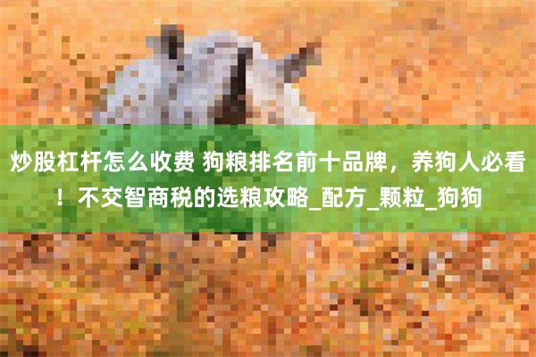 炒股杠杆怎么收费 狗粮排名前十品牌，养狗人必看！不交智商税的选粮攻略_配方_颗粒_狗狗