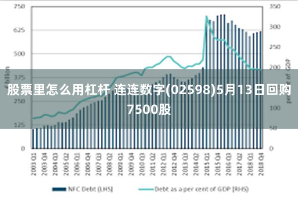 股票里怎么用杠杆 连连数字(02598)5月13日回购7500股