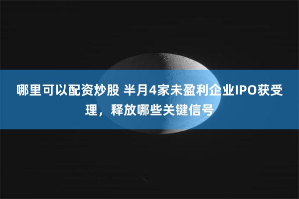 哪里可以配资炒股 半月4家未盈利企业IPO获受理，释放哪些关键信号