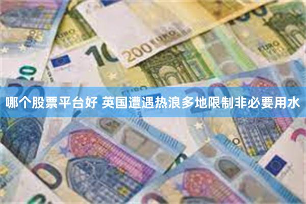 哪个股票平台好 英国遭遇热浪多地限制非必要用水