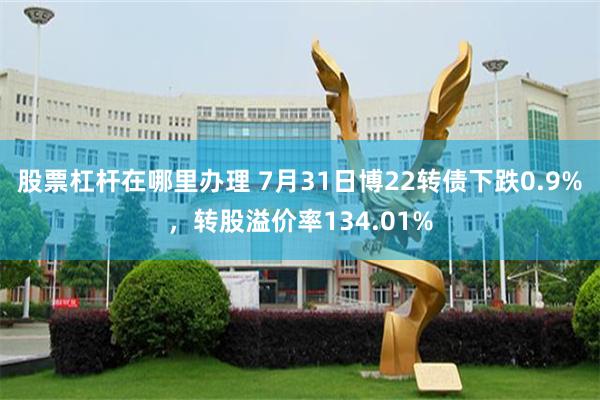 股票杠杆在哪里办理 7月31日博22转债下跌0.9%，转股溢价率134.01%