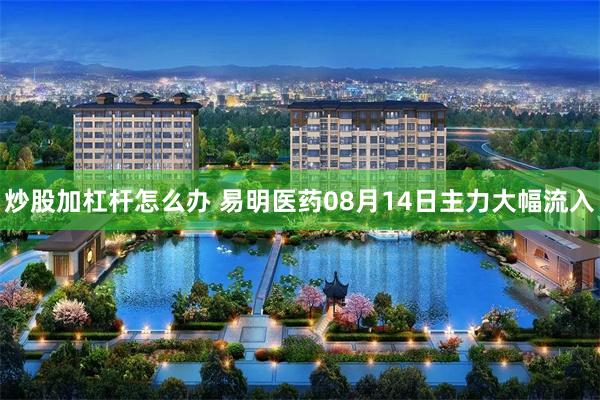 炒股加杠杆怎么办 易明医药08月14日主力大幅流入