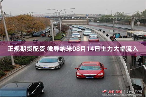 正规期货配资 微导纳米08月14日主力大幅流入