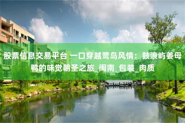 股票信息交易平台 一口穿越鹭岛风情：鼓浪屿姜母鸭的味觉朝圣之旅_闽南_包装_肉质