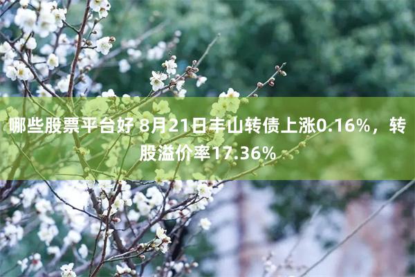 哪些股票平台好 8月21日丰山转债上涨0.16%，转股溢价率17.36%