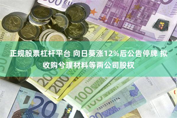 正规股票杠杆平台 向日葵涨12%后公告停牌 拟收购兮璞材料等两公司股权