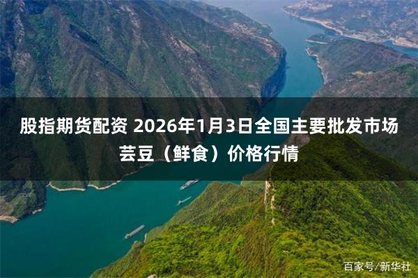 股指期货配资 2026年1月3日全国主要批发市场芸豆（鲜食）价格行情