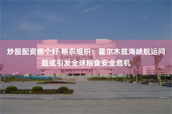 炒股配资哪个好 粮农组织：霍尔木兹海峡航运问题或引发全球粮食安全危机