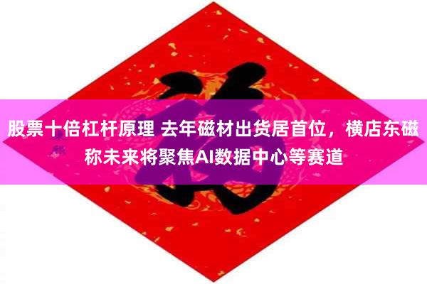 股票十倍杠杆原理 去年磁材出货居首位，横店东磁称未来将聚焦AI数据中心等赛道
