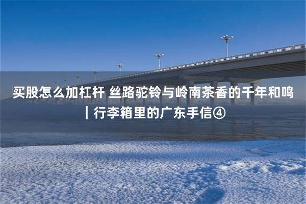 买股怎么加杠杆 丝路驼铃与岭南茶香的千年和鸣｜行李箱里的广东手信④